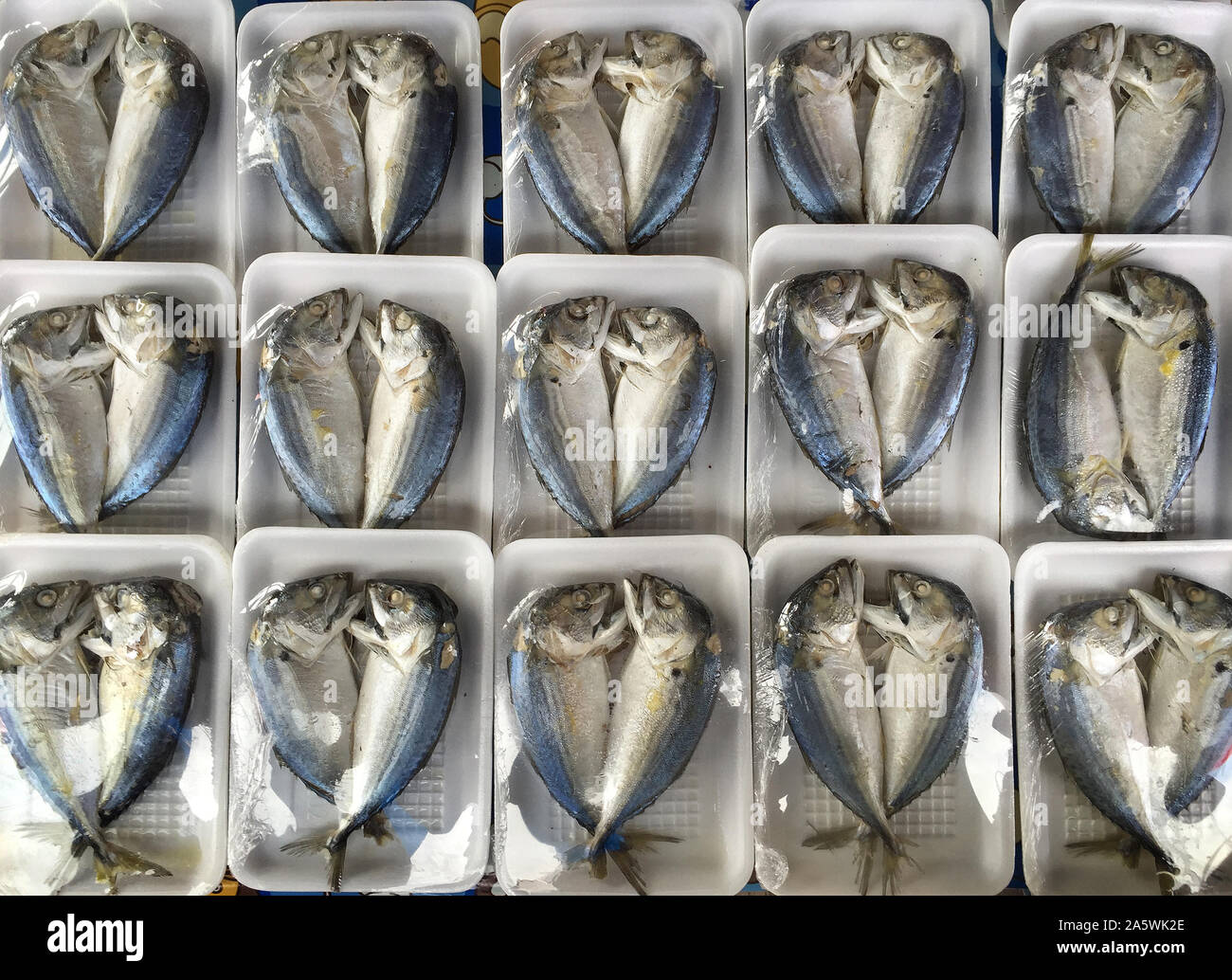 Cotto a vapore thai sgombro pesce (pla tu) presentato per la vendita in Tailandia Foto Stock