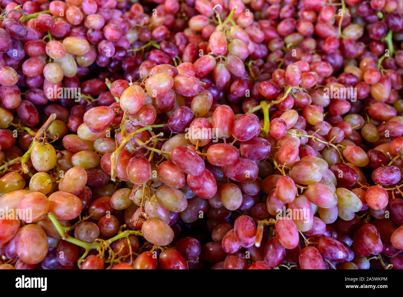 Primo piano dei raggruppamenti di colore rosso del bambino naturale uve seadless Foto Stock