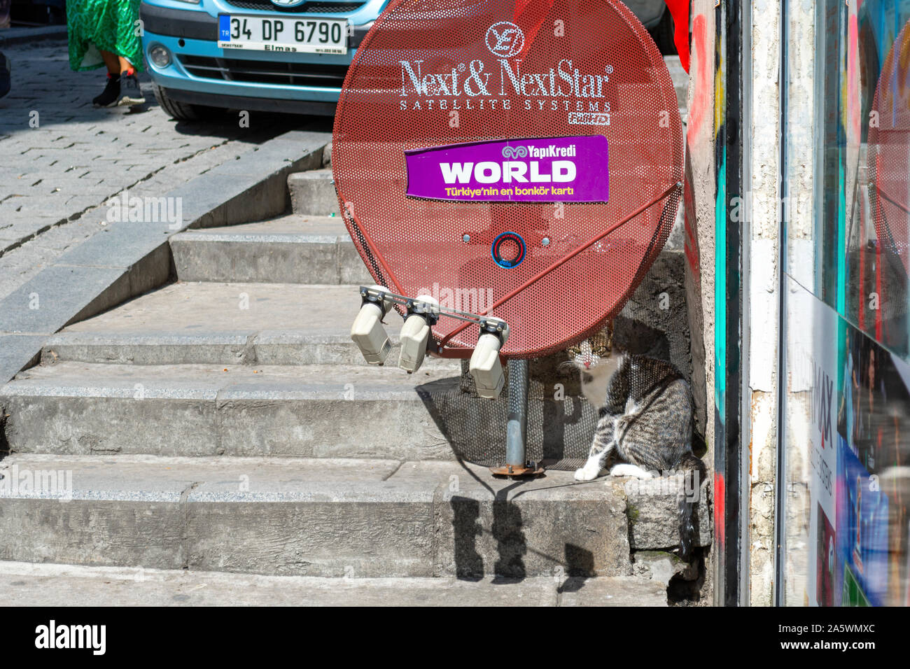 Un parassita cat street si trova in ombra sotto una parabola satellitare nel quartiere di Galata di Istanbul, Turchia. Foto Stock