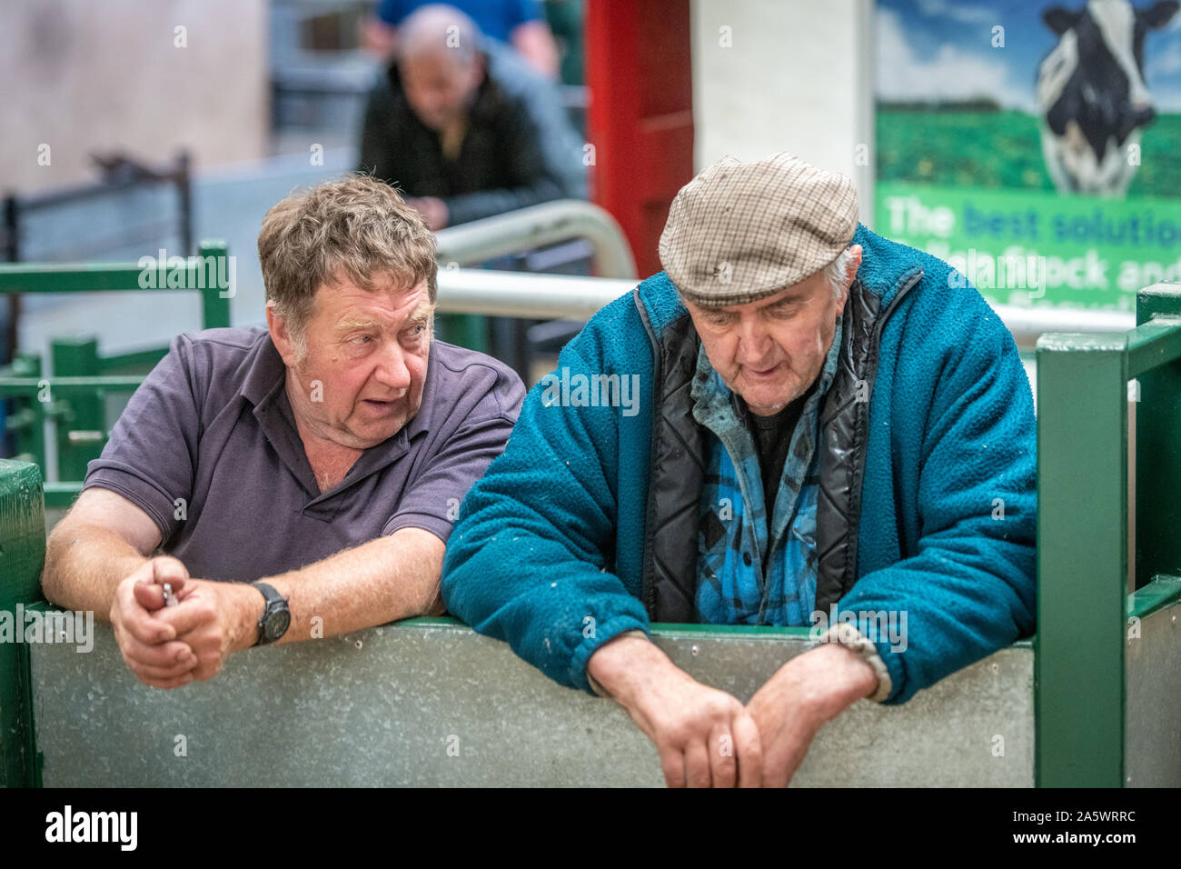 Una coppia di uomini avente una conversazione a un asta di pecora, Hawes, nello Yorkshire, Regno Unito Foto Stock