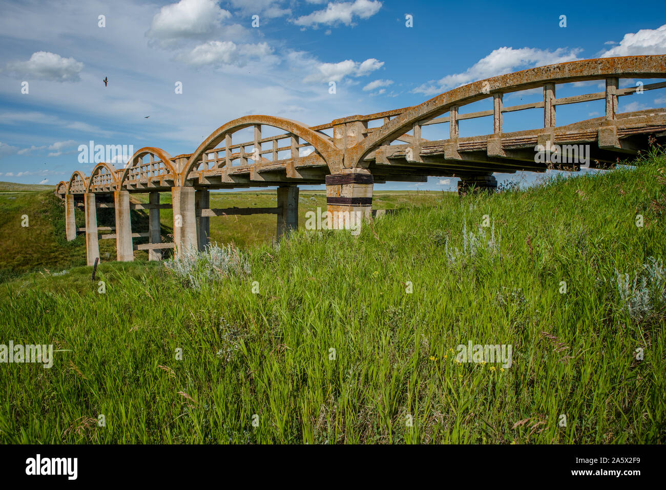 Le vecchie coperte di lichene, ponte di cemento in Scotsguard, SK con erba verde in primo piano Foto Stock