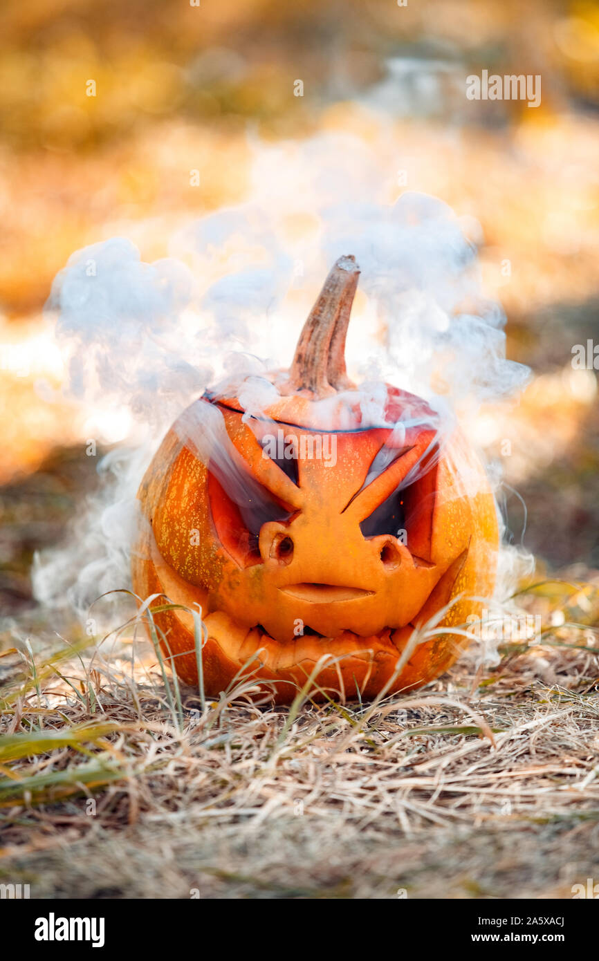 Halloween Preparaton concetto. La zucca scolpita sul suolo di close-up Foto Stock