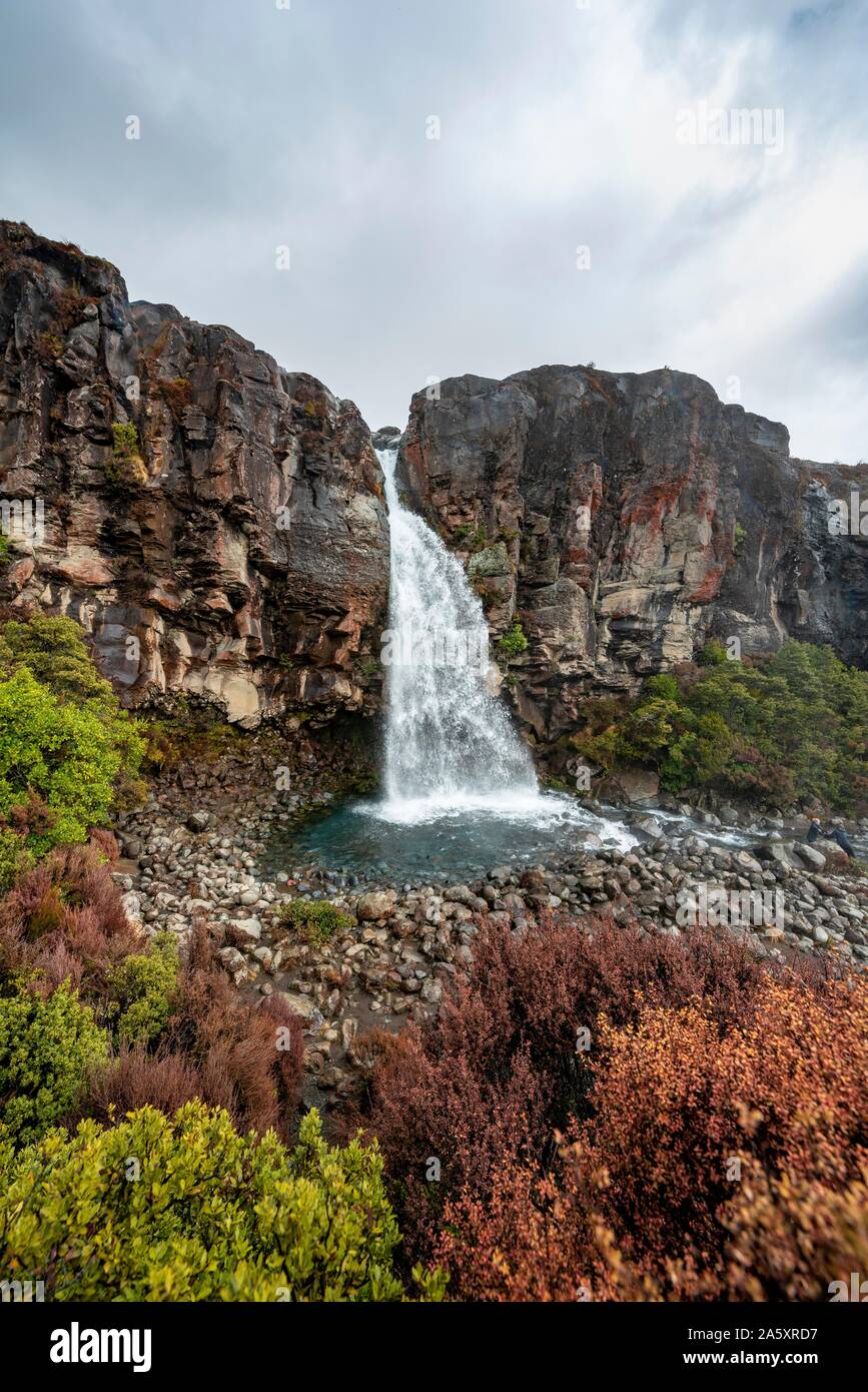 Taranaki cade, cascata del parco nazionale di Tongariro, Isola del nord, Nuova Zelanda Foto Stock