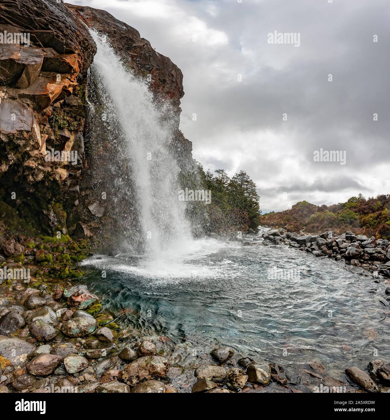 Taranaki cade, cascata del parco nazionale di Tongariro, Isola del nord, Nuova Zelanda Foto Stock