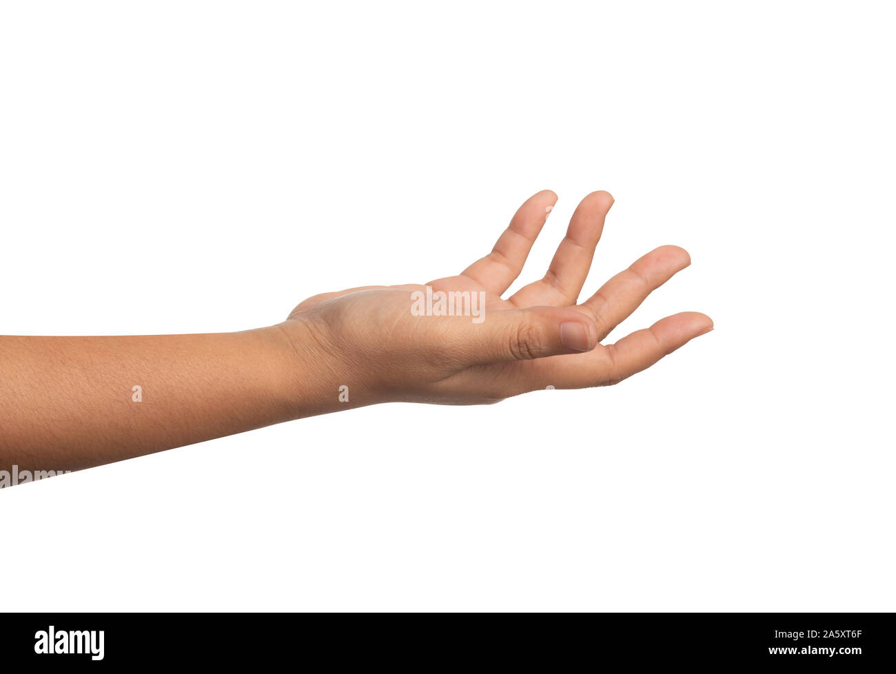 Palmo della mano destra immagini e fotografie stock ad alta risoluzione -  Alamy