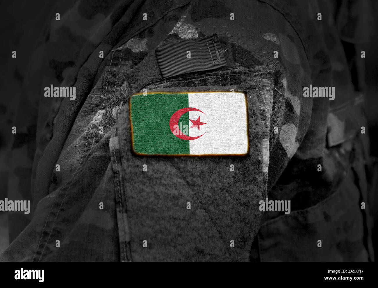 Bandiera di Algeria in uniforme militare. Esercito truppe, soldati, Africa,(collage). Foto Stock