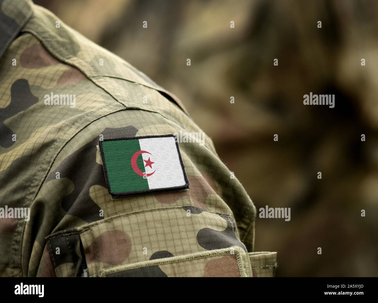 Bandiera di Algeria in uniforme militare. Esercito truppe, soldati, Africa,(collage). Foto Stock