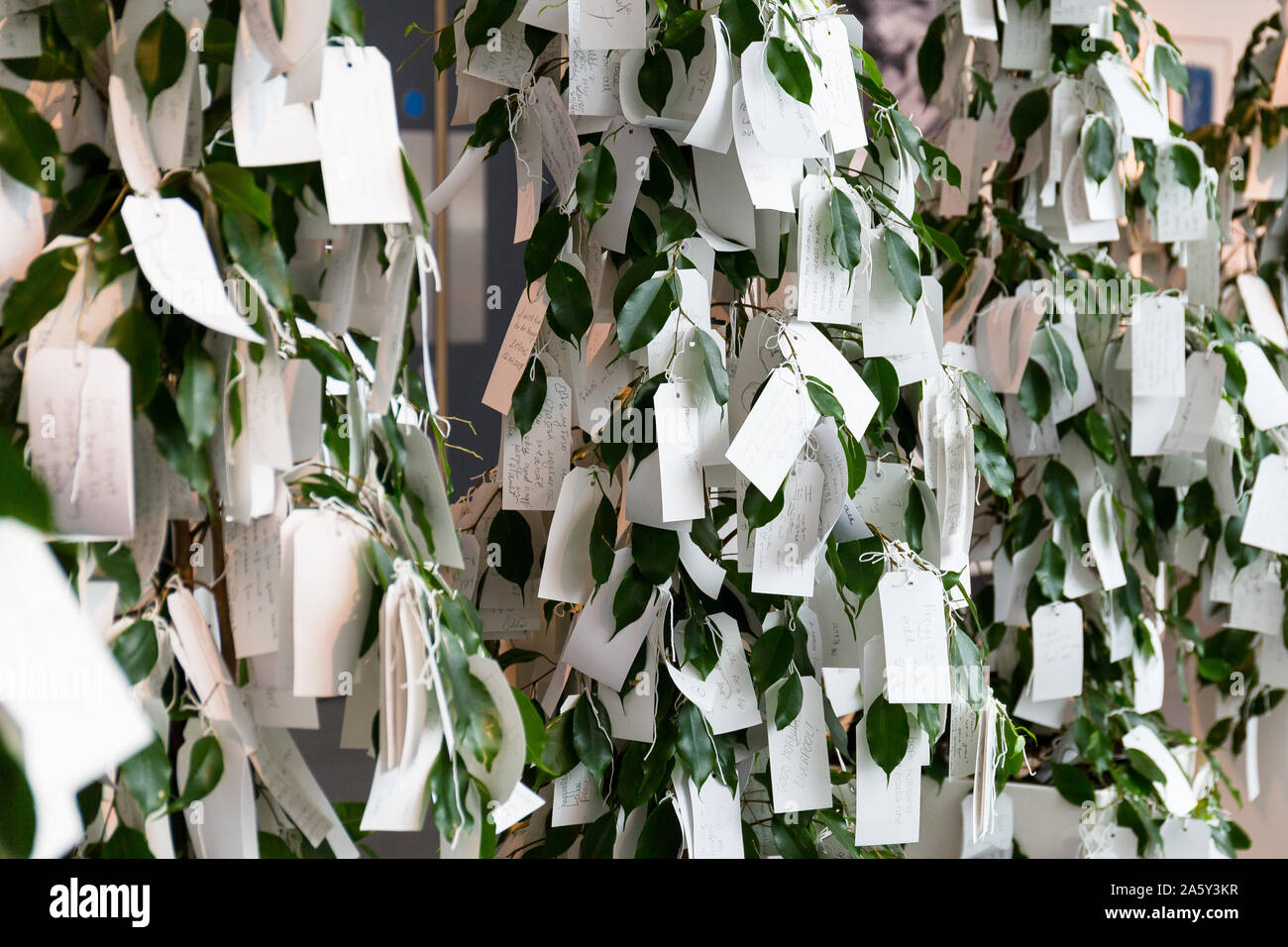 Desidero tree per Liverpool. Yoko Ono. Liverpool Museum pierhead Liverpool waterfront. Enngland Foto Stock