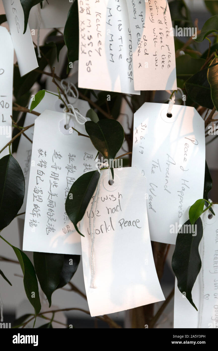 Desidero tree per Liverpool. Yoko Ono. Liverpool Museum pierhead Liverpool waterfront. Enngland Foto Stock