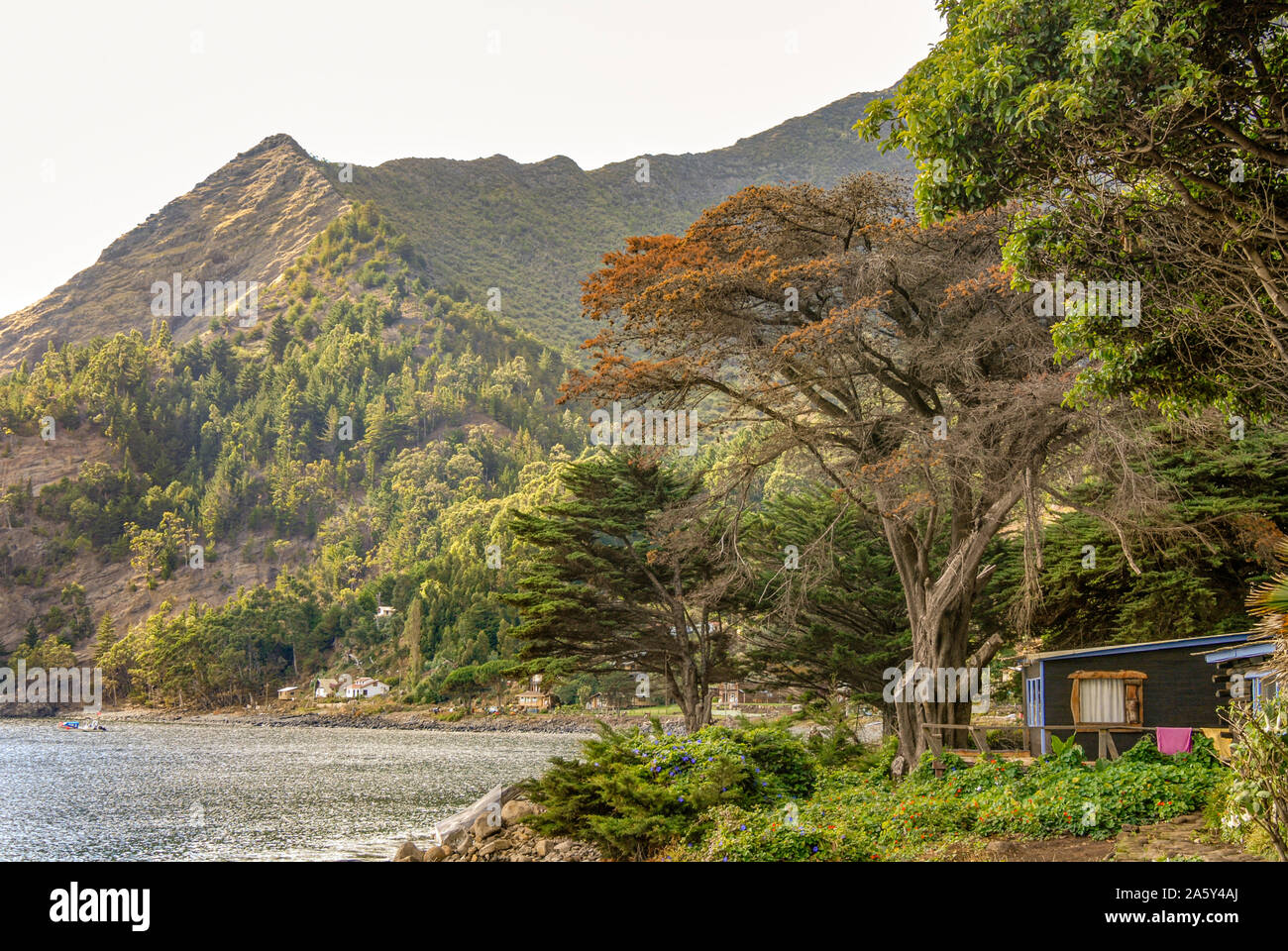 Villaggio San Juan Bautista a Cumberland Bay, Juan Fernandez, Cile, Sud America Foto Stock