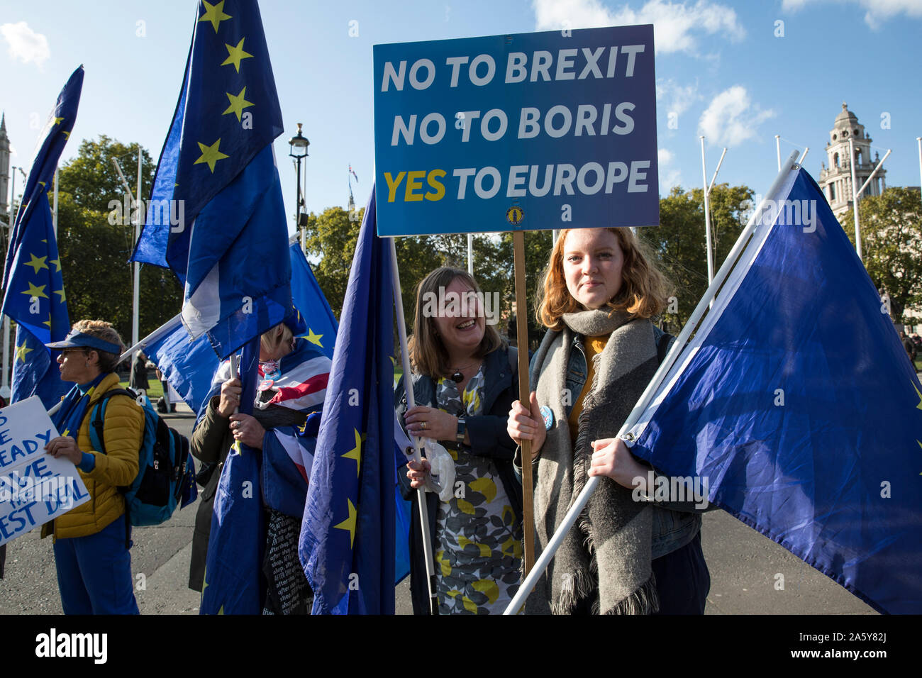 Pro Brexit e manifestanti Ant-Brexit convergono sui marciapiedi intorno al College Green e Case del Parlamento davanti al 31 ottobre Brexit Foto Stock