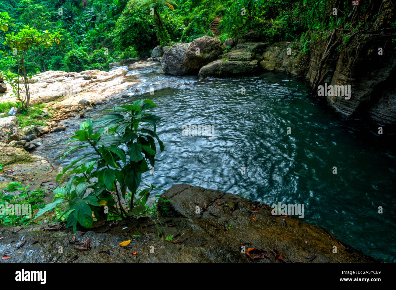 La cascata nel bosco | Coban Tundo, Malang, East Java, Indonesia Foto Stock