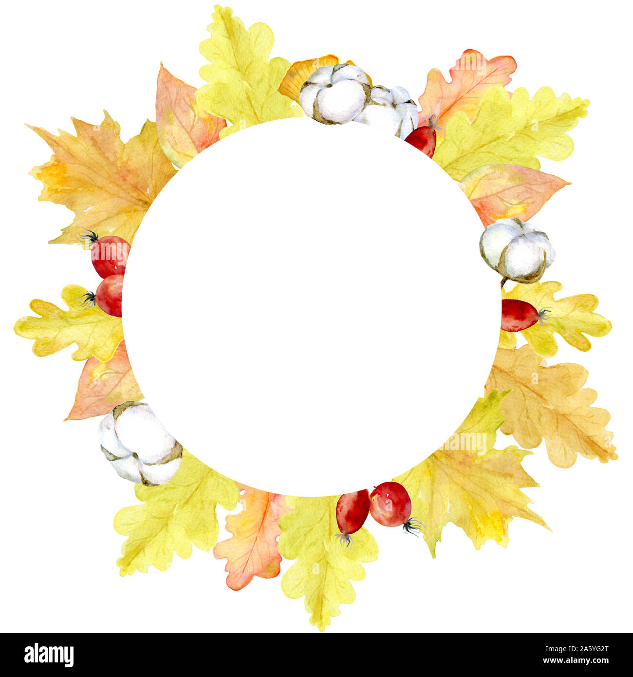 Acquerello rotondi di autunno arancione e foglie di giallo, rosa canina, cotone bolls. Scheda di invito. Gli elementi in forma di round . Ideale per il divieto di progettazione Foto Stock