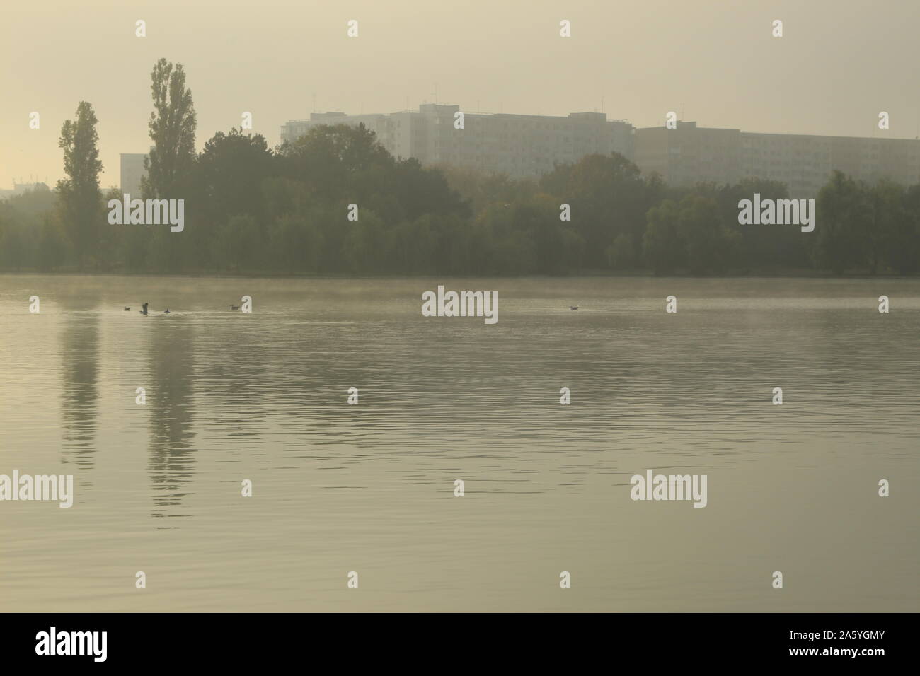 Nel tardo autunno a uno straordinario e bellissimo lago Foto Stock