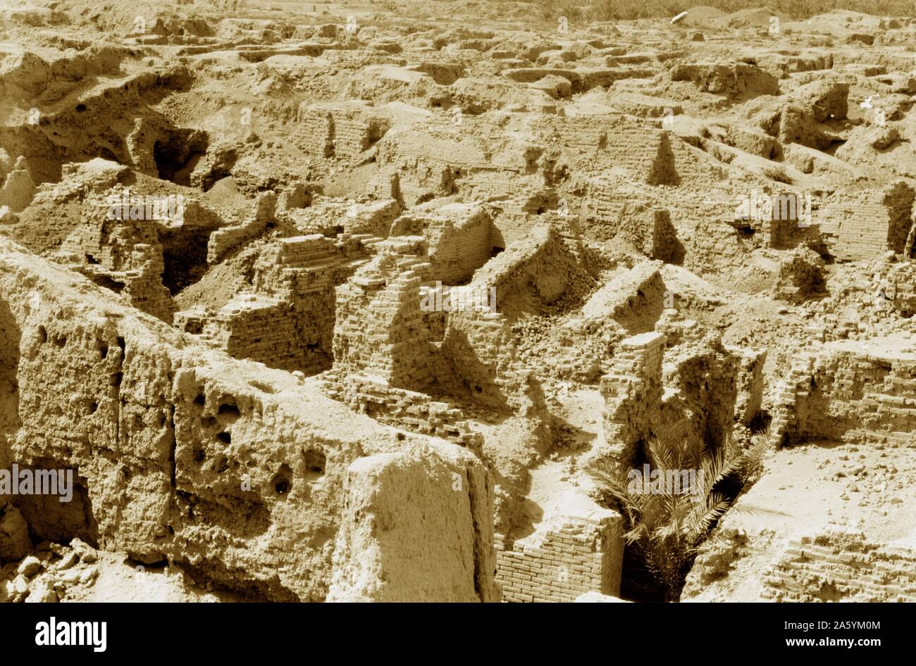 L'Iraq. Babilonia, vista cadendo in rovina. La porta di Ishtar che mostra gli animali in rilievo su pareti in mattoni Foto Stock