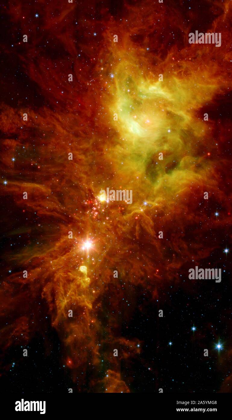 Stelle neonate, nascosto dietro la polvere densa, vengono rivelati in questa immagine di una sezione della struttura ad albero di Natale cluster. Foto Stock