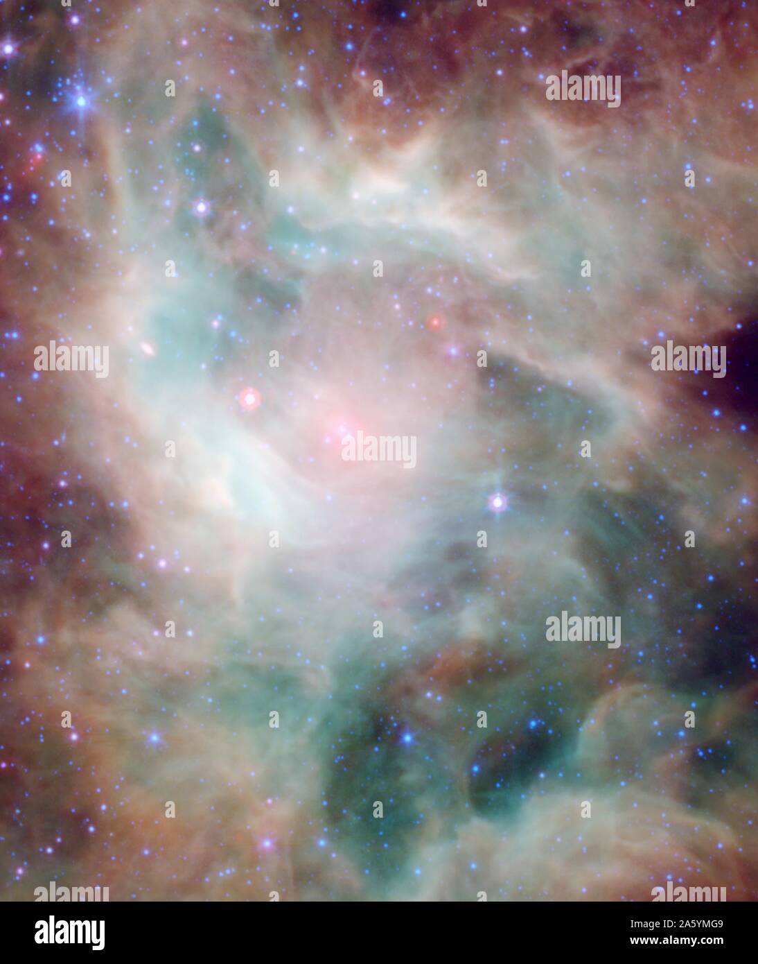 Stelle neonate, nascosto dietro la polvere densa, vengono rivelati in questa immagine di una sezione della struttura ad albero di Natale cluster. Foto Stock