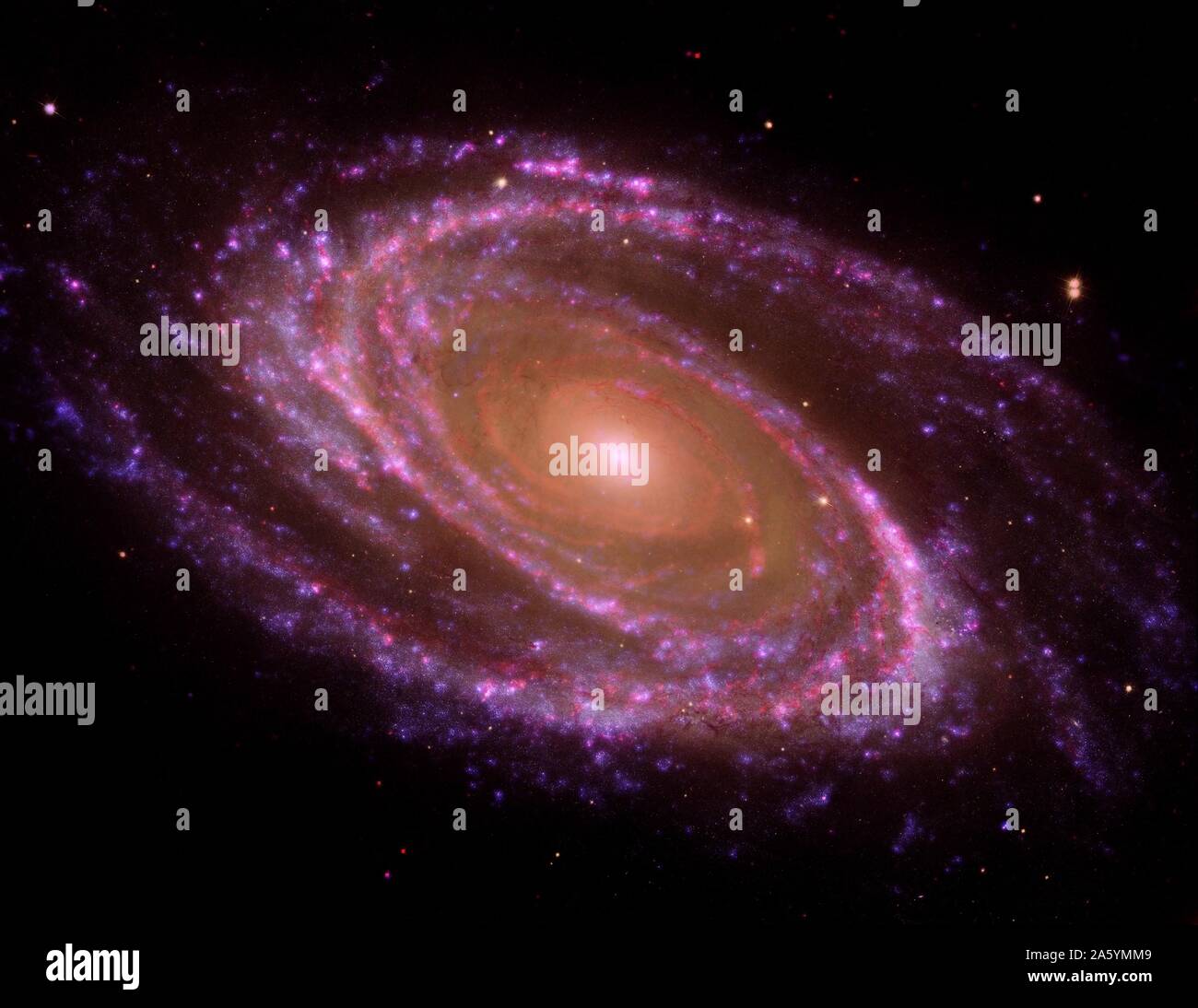 La galassia a spirale conosciuto come Messier 81, o M81. Orbiter GALEX,Telescopio Spaziale Hubble,telescopio spaziale Spitzer. Foto Stock