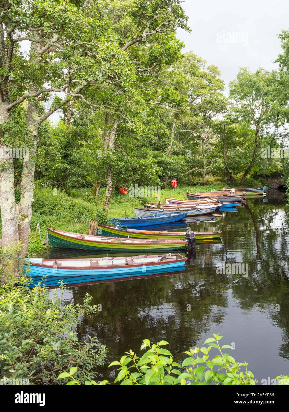 Barche a remi ormeggiate vicino Castello di Ross sul bordo del Lough Leane nel Parco Nazionale di Killarney, nella contea di Kerry, Irlanda. Foto Stock