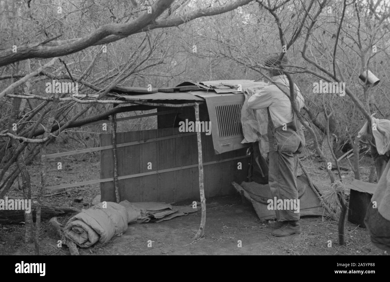 Bianco lavoratore migrante che vivono in camp con altri due uomini, lavorando su magro-al quale viene ad essere suoi quartieri dormitorio. Vicino a Harlingen, Texas da Russell Lee, 1903-1986, datata 19390101. Foto Stock