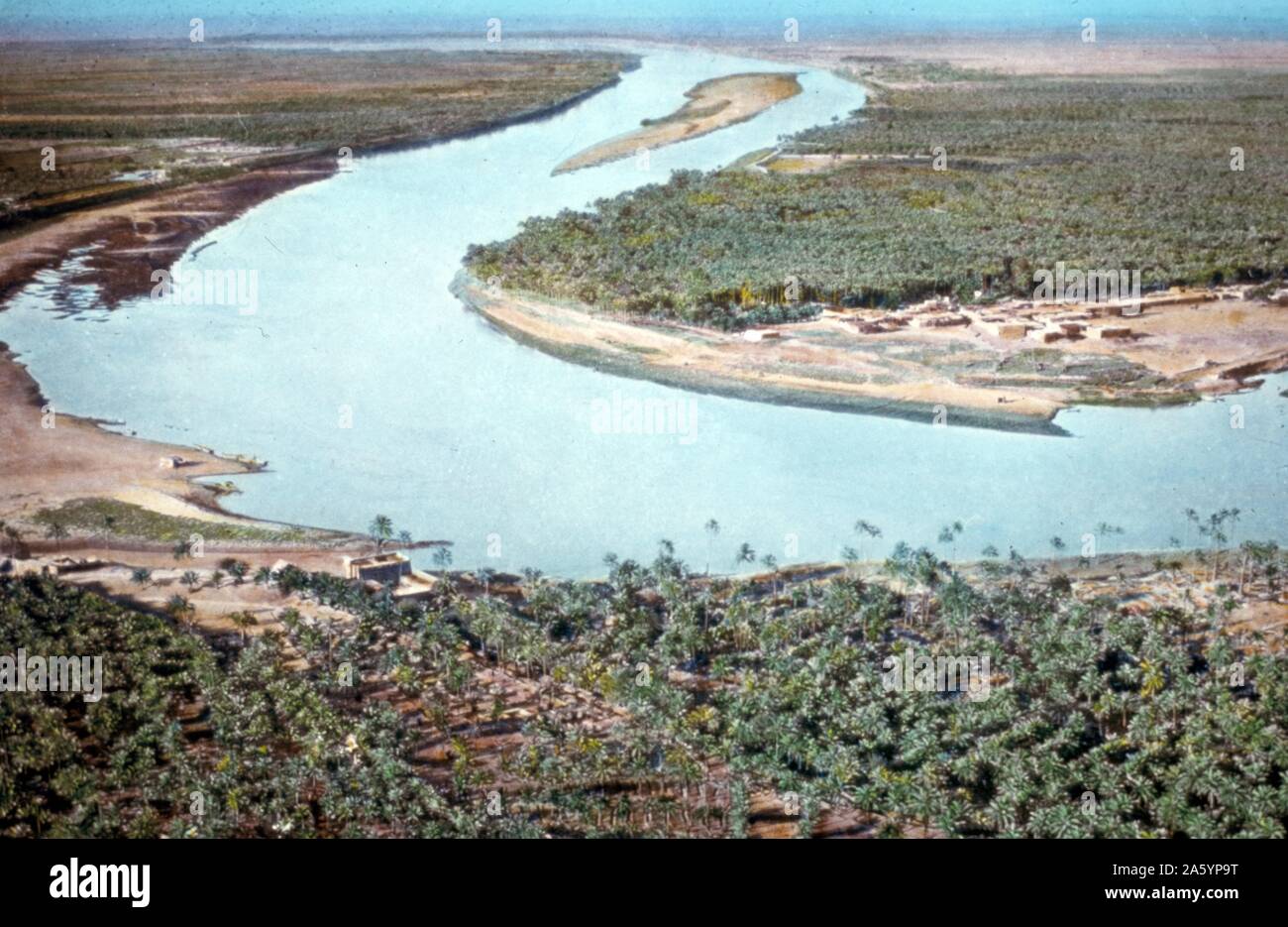 Iraq (Babylonia). Fiume Tigri, aria, mostrando palmeti sulle sue sponde. Tra il 1950 e il 1977. Foto Stock