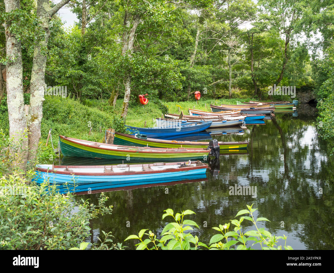 Barche a remi ormeggiate vicino Castello di Ross sul bordo del Lough Leane nel Parco Nazionale di Killarney, nella contea di Kerry, Irlanda. Foto Stock