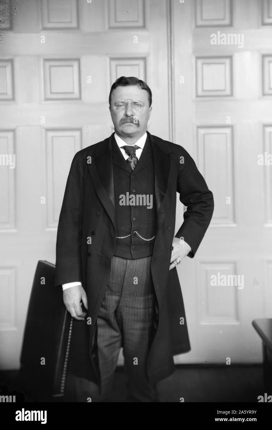 Presidente Theodore Roosevelt (1858-1919) ventiseiesimo Presidente degli Stati Uniti, uomo politico americano, autore, naturalista, soldato, explorer e storico. Datata 1900 Foto Stock