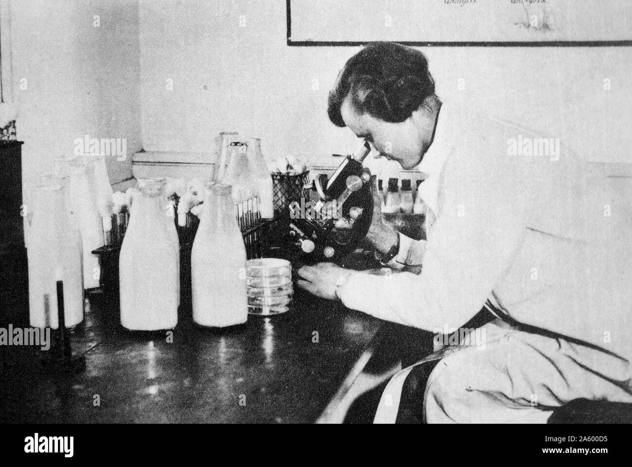 Laboratorio di donne scienziato guarda per i batteri nel latte, utilizzando un microscopio Foto Stock