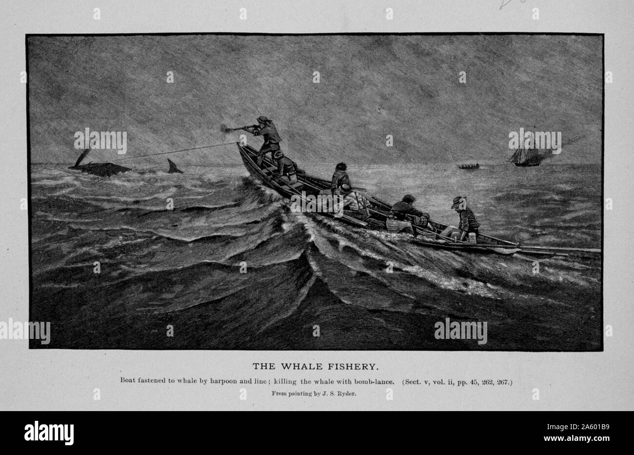 Barca fissato alla balena da arpione e linea. Uccidere la balena con la lancia di bomba. Da un dipinto di J. S. Ryder. Foto Stock