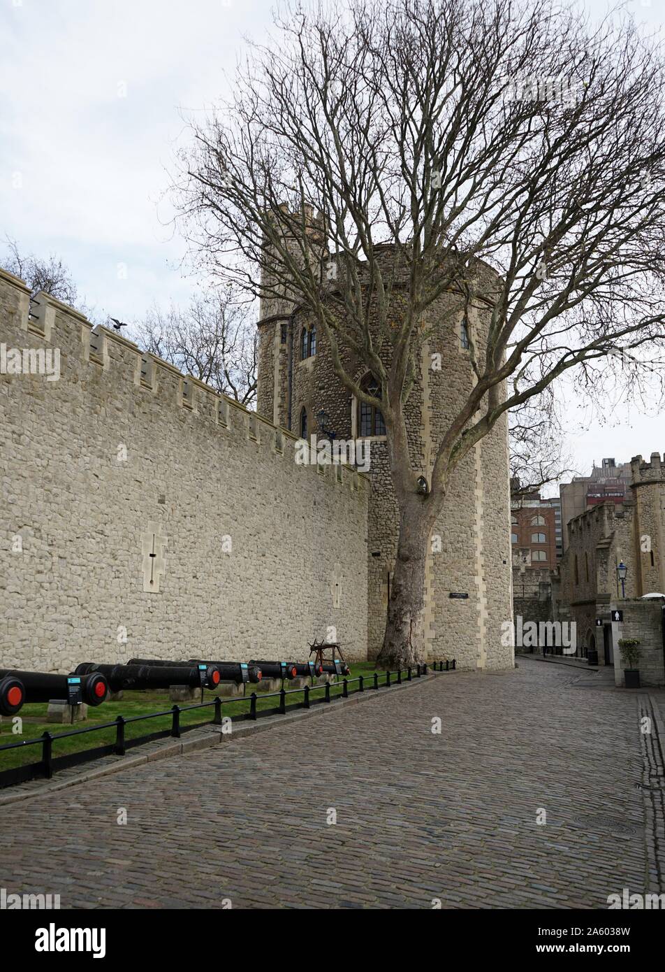 Viste intorno alla Torre di Londra, un castello storico situato sulla riva nord del fiume Tamigi nel centro di Londra. Completato nel XIV secolo. A partire dal XII secolo fino al XX secolo il castello fu utilizzato come prigione. Datata 2015 Foto Stock