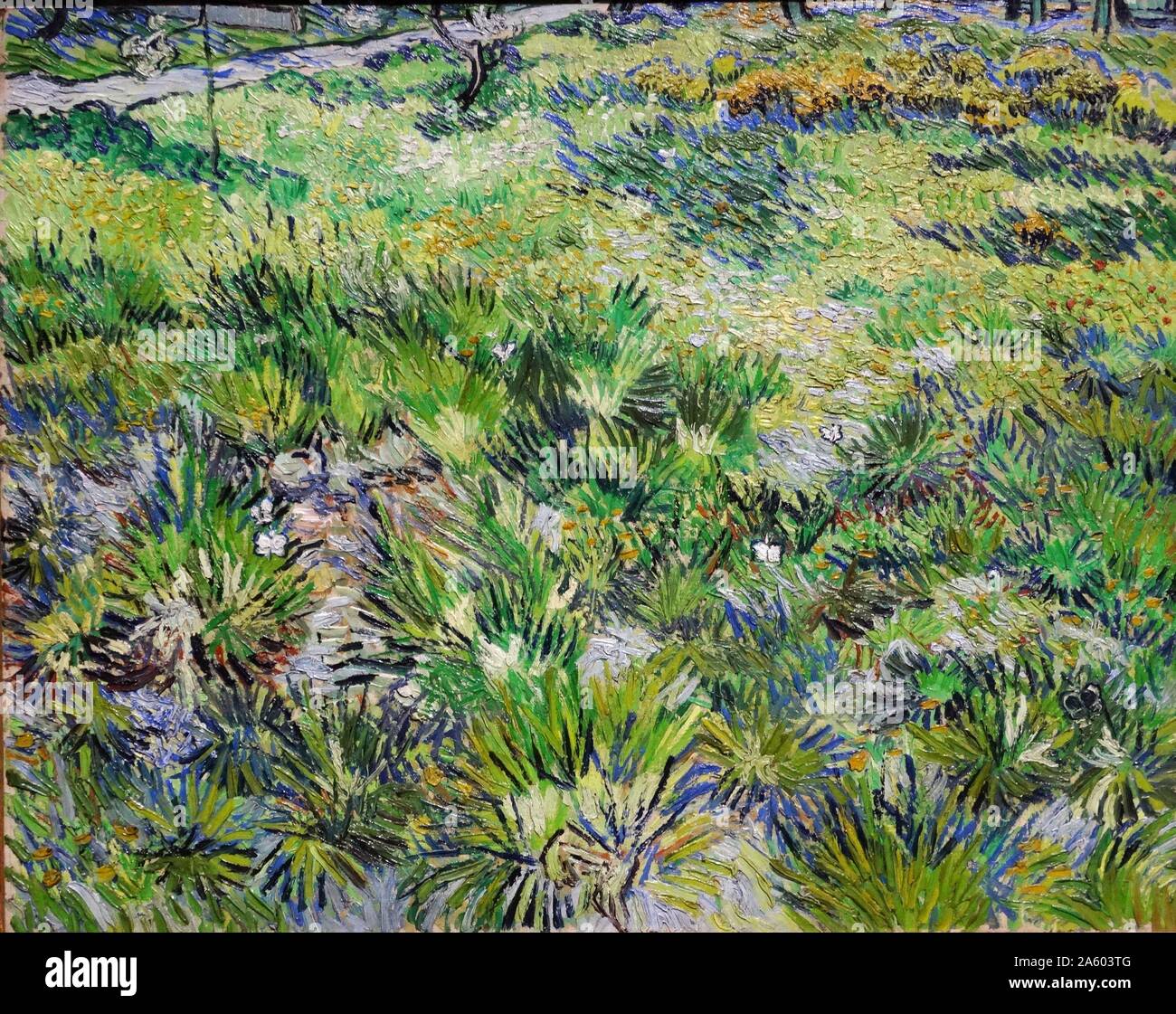 Pittura intitolata 'erba lunga con farfalle' di Vincent Willem van Gogh (1853-1890) un olandese post-pittore impressionista. Datata del XIX secolo Foto Stock