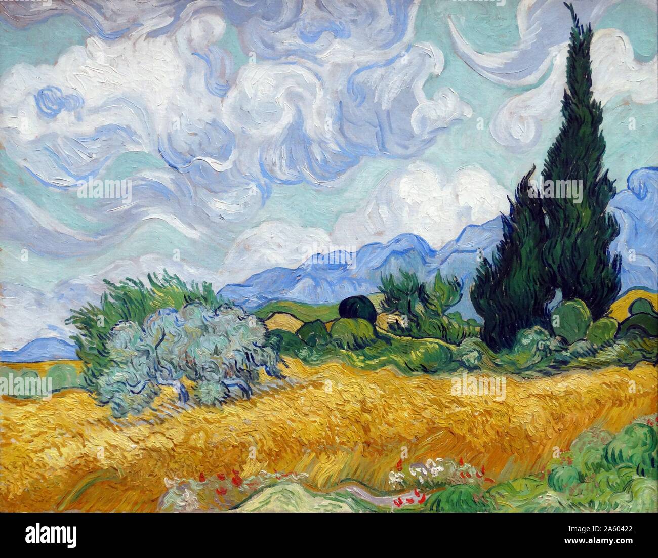 Pittura intitolata 'Un Wheatfield, con cipressi di Vincent Willem van Gogh (1853-1890) un olandese post-pittore impressionista. Datata del XIX secolo Foto Stock