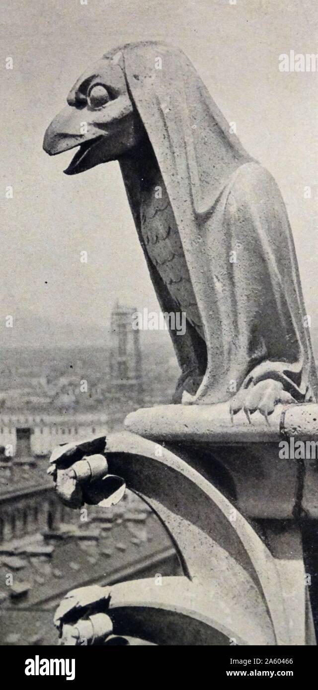 Stampa fotografica dei doccioni sulla facciata ovest della cattedrale di Notre-dame , una storica cattedrale cattolica sulla metà orientale dell'Île de la Cité nel quarto arrondissement di Parigi, Francia. Datata del XIX secolo Foto Stock