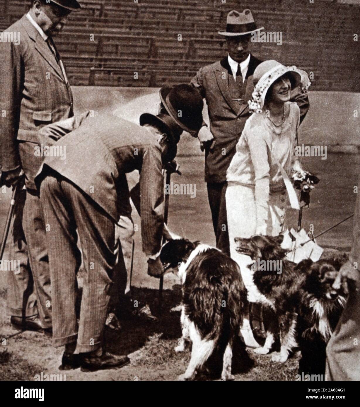 Fotografia di Prince Albert Frederick Arthur George (1895-1952) e la signora Elisabetta (1900-2002) con la concorrenza i cani di pecore Foto Stock