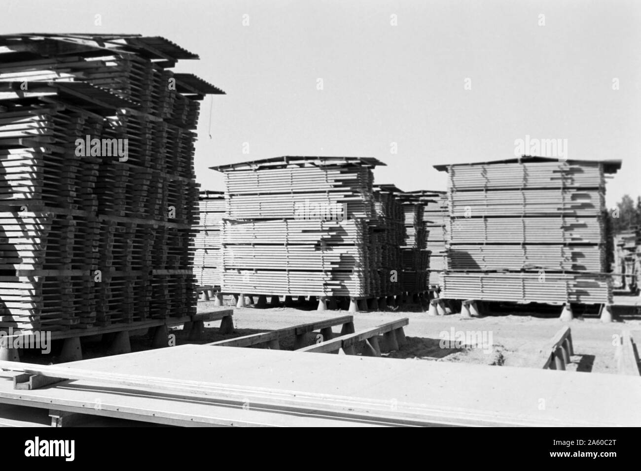 Foto von gestapeltem Holz in einem Holzlager, Bergviken vedere Schweden 1969. Foto di woodplanks impilati in un woodyard ,Lago Bergviken Svezia 1969. Foto Stock
