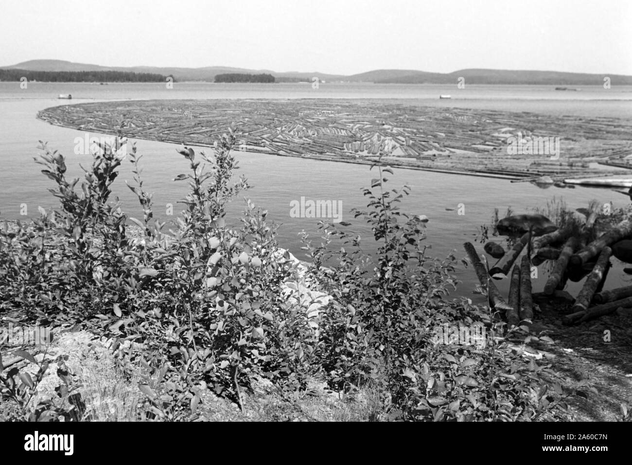 Holzsammelstelle und Bretterstapel, Bollnäs, Schweden, 1969. Legno il punto di raccolta e la scheda pila, Bollnäs, Svezia, 1969. Foto Stock