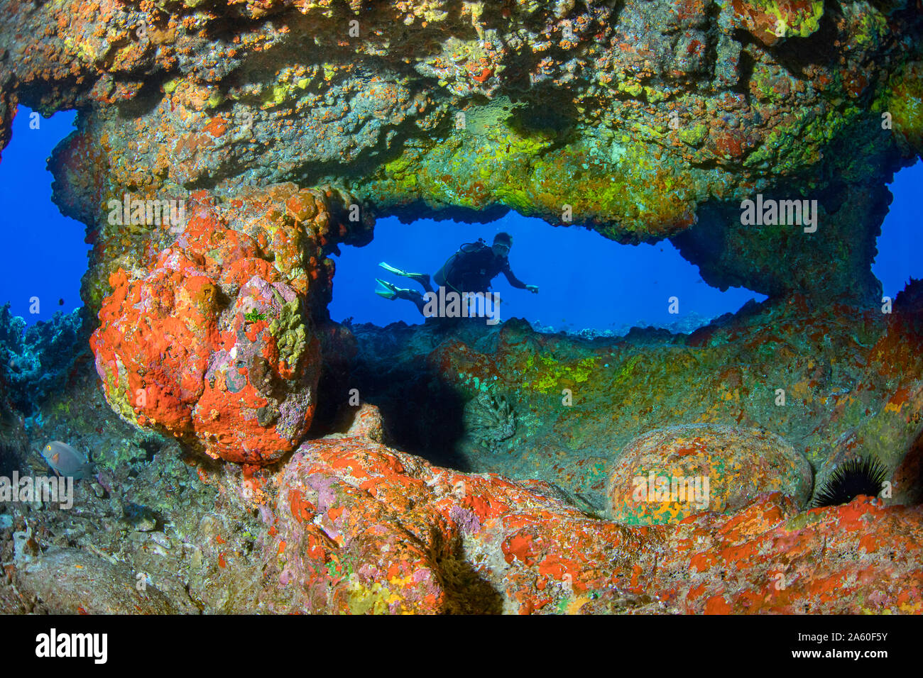 Un subacqueo (MR) raffigurato in una caverna di entrata fuori dell'isola di Lanai, Hawaii. Foto Stock