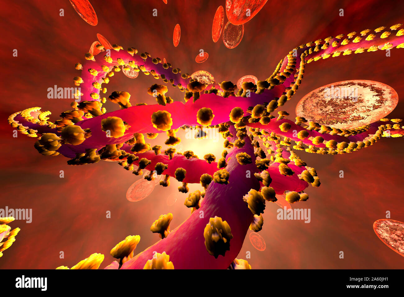 3D reso illustrazione di un virus ebola nel flusso sanguigno, circondato da cellule di sangue rosse Foto Stock