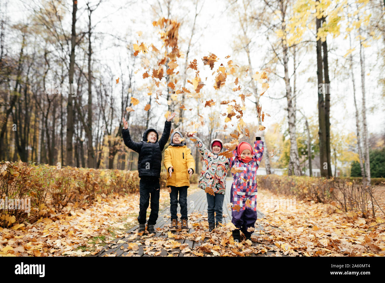 Il gruppo di quattro ragazzi che giocano con le foglie di autunno Foto Stock