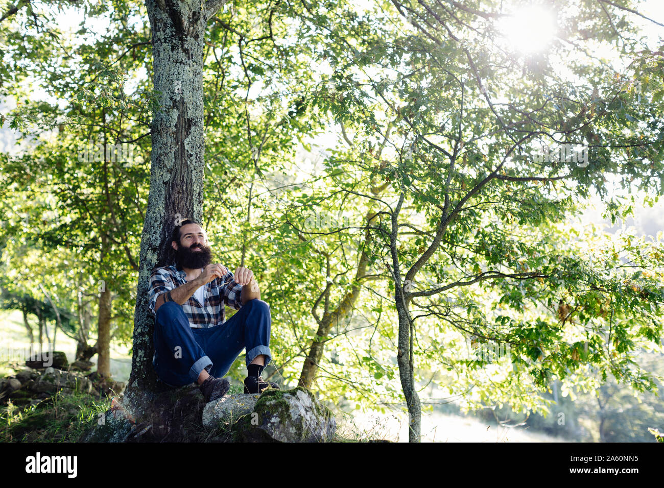 Uomo con la barba in un momento di relax a tronco di albero nella foresta Foto Stock