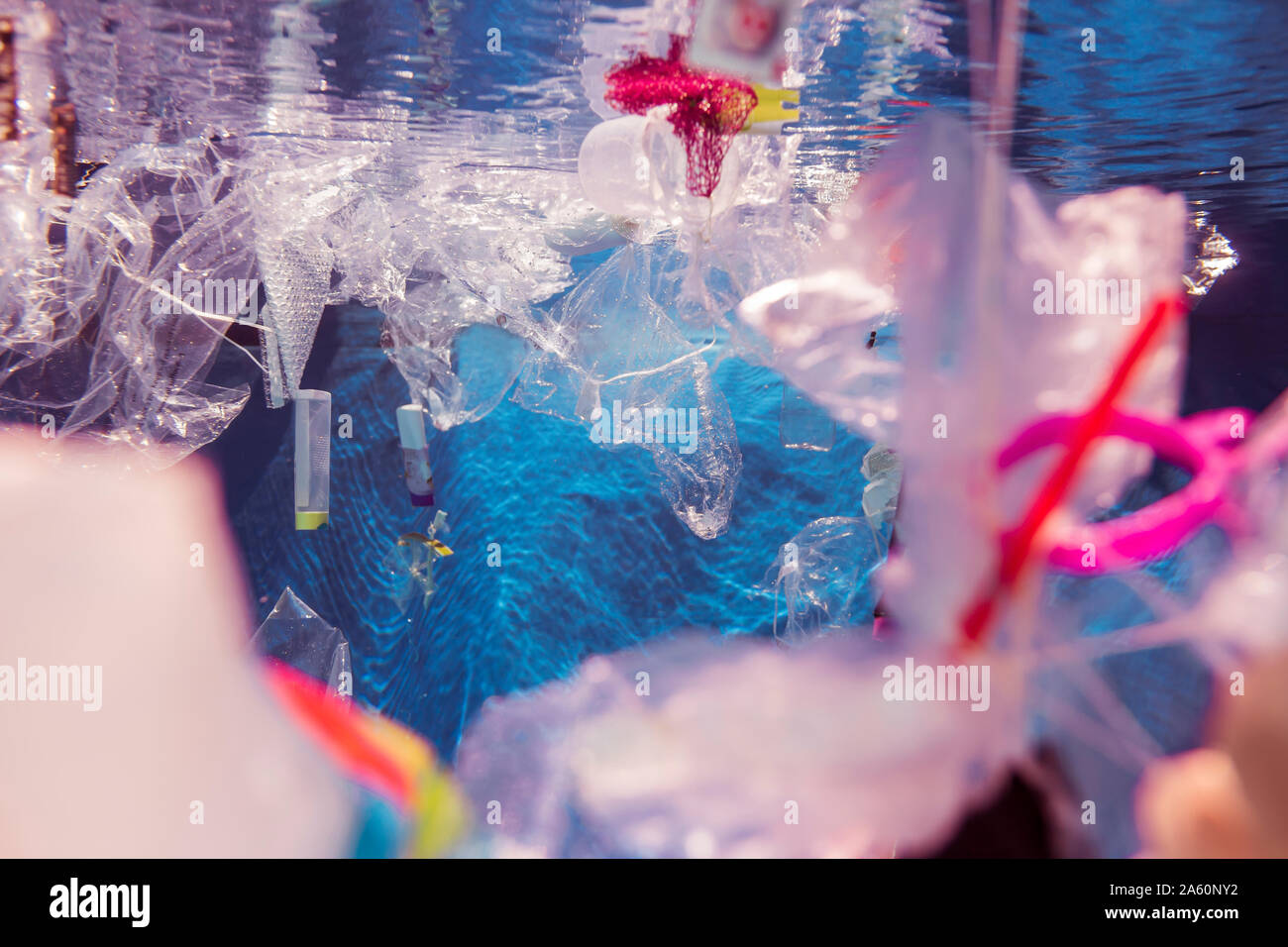 Rifiuti di plastica galleggianti in acqua Foto Stock