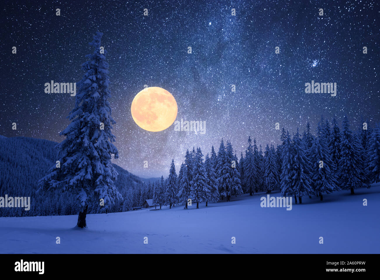 Notte invernale con la luna piena e il cielo stellato. Frost coperti di alberi in una foresta di montagna. Paesaggio con neve fresca Foto Stock