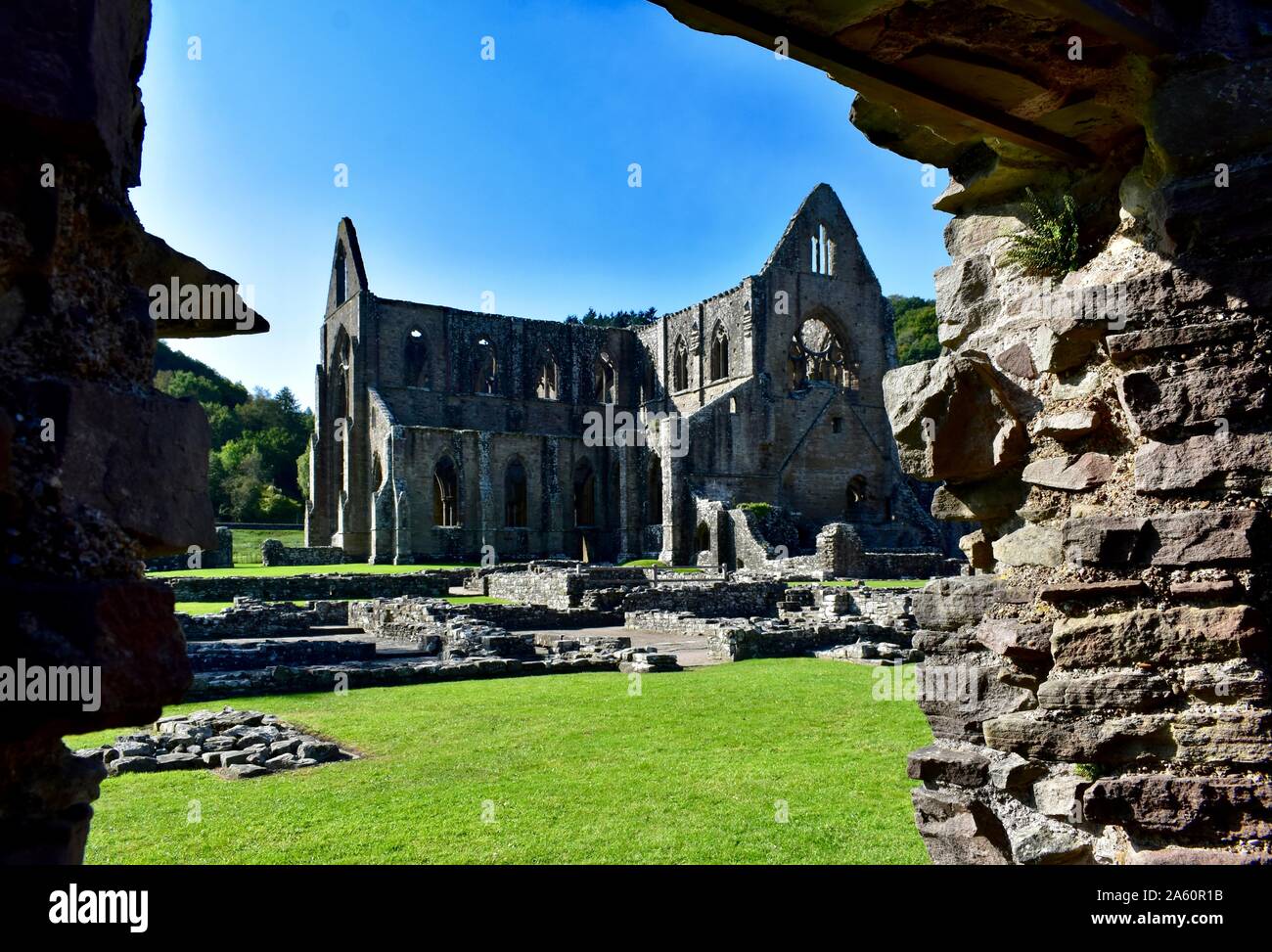 Le rovine di abbazia cistercense a Tintern. Foto Stock