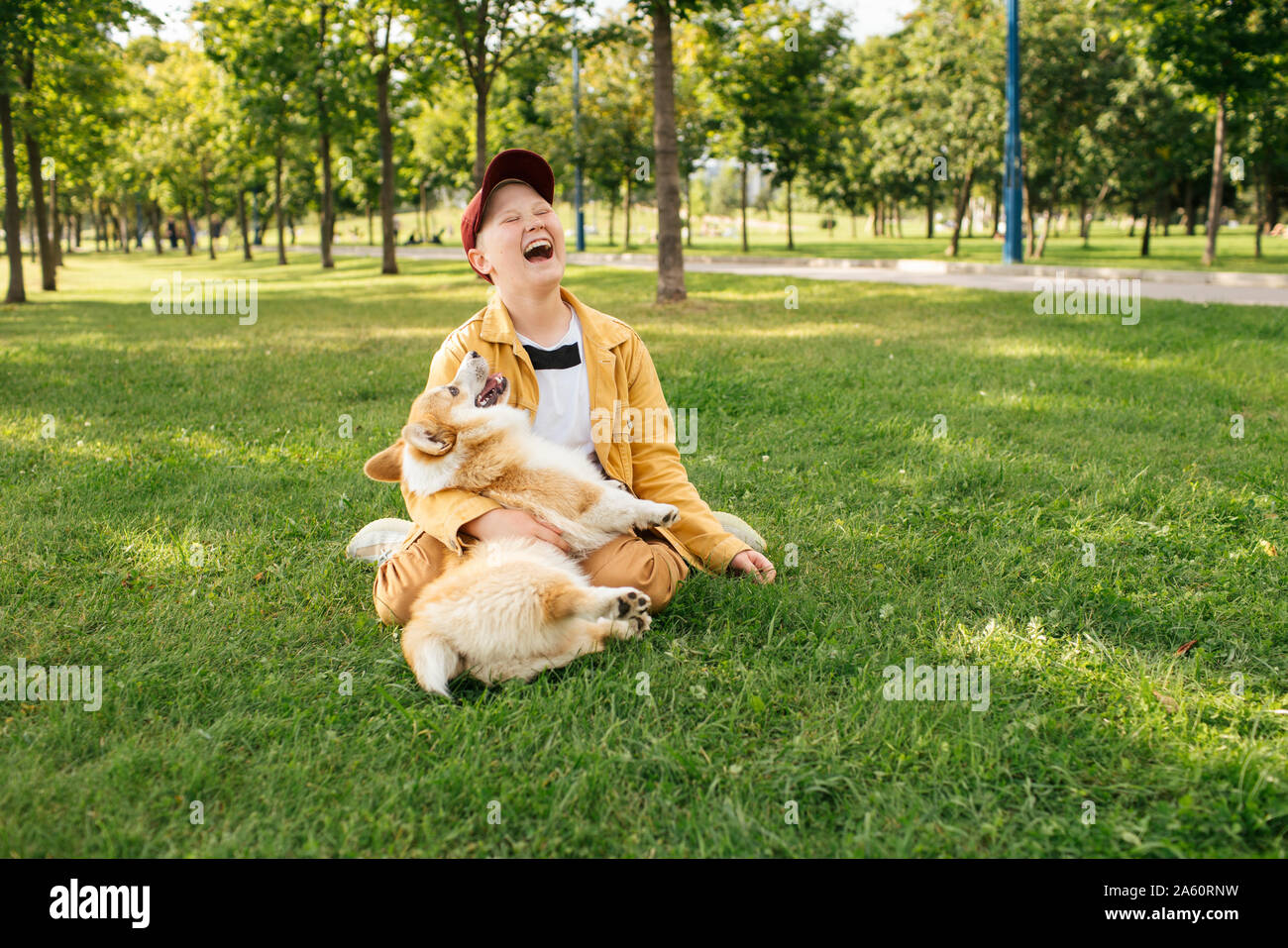 Ridendo ragazzo con Welsh Corgi Pembroke in un parco Foto Stock