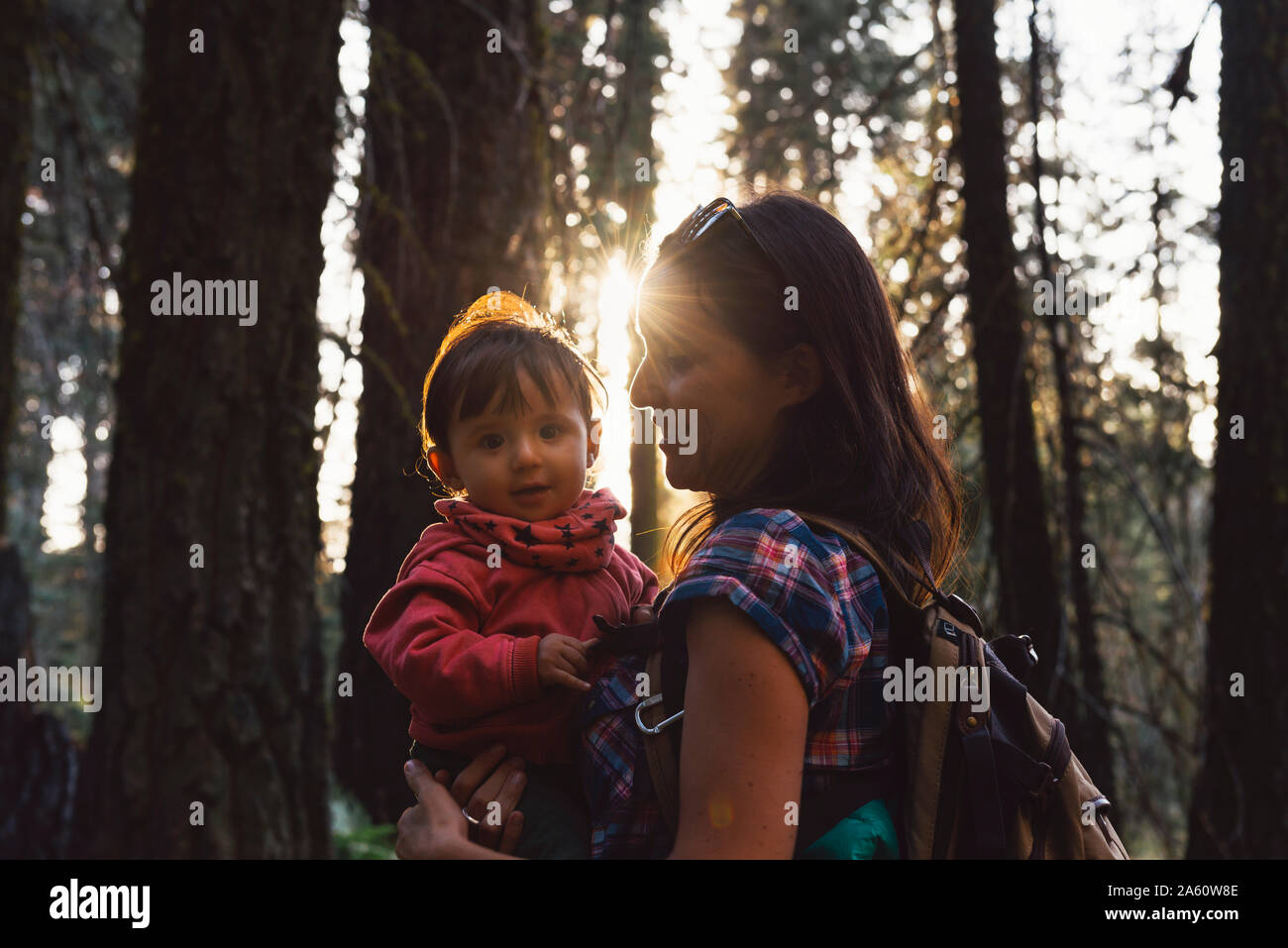 Azienda madre di una bambina nella foresta al tramonto nel Parco Nazionale di Sequoia, CALIFORNIA, STATI UNITI D'AMERICA Foto Stock