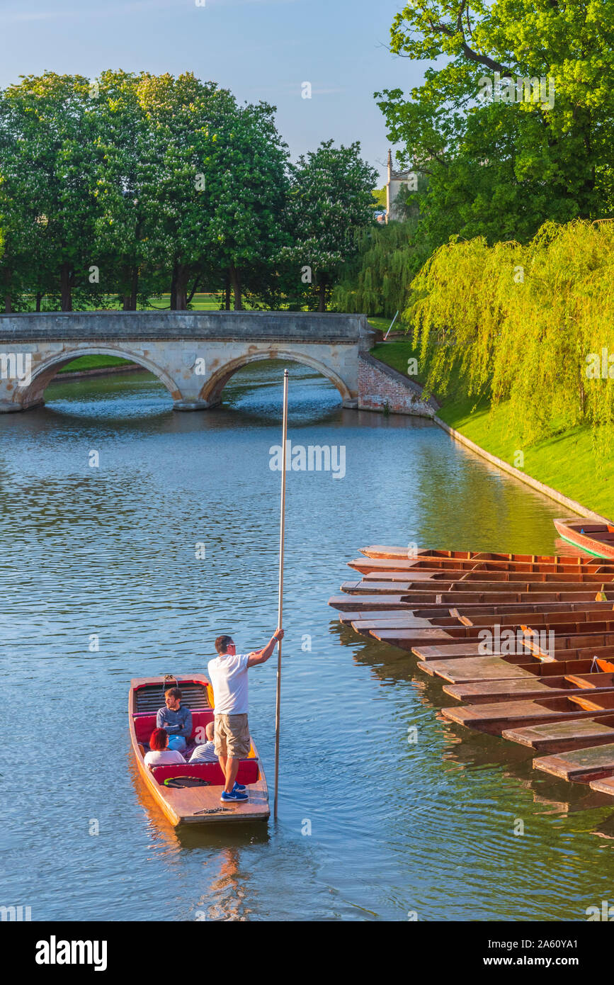 Sterline, spalle, Trinity College e Trinity ponte sul fiume Cam, Cambridge, Cambridgeshire, England, Regno Unito, Europa Foto Stock