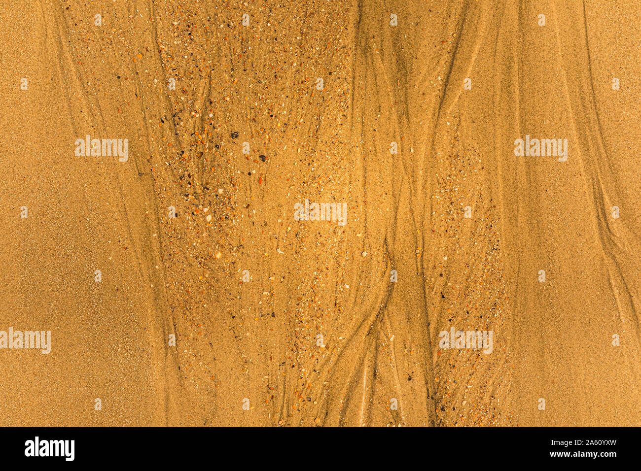 Close-up di sabbia con modi di marea e conchiglie sulla spiaggia Foto Stock
