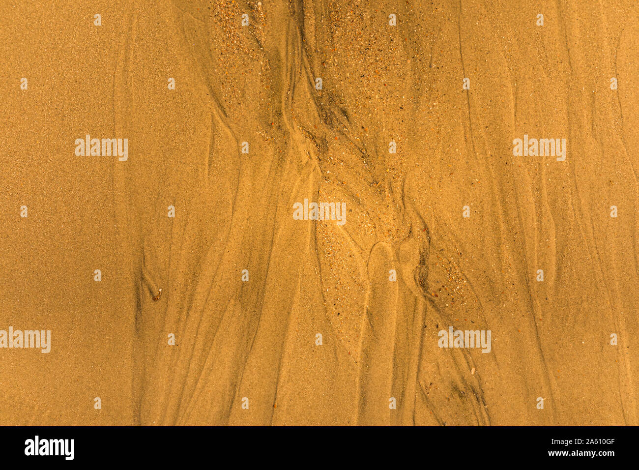 Close-up di sabbia con modi di marea e conchiglie sulla spiaggia Foto Stock