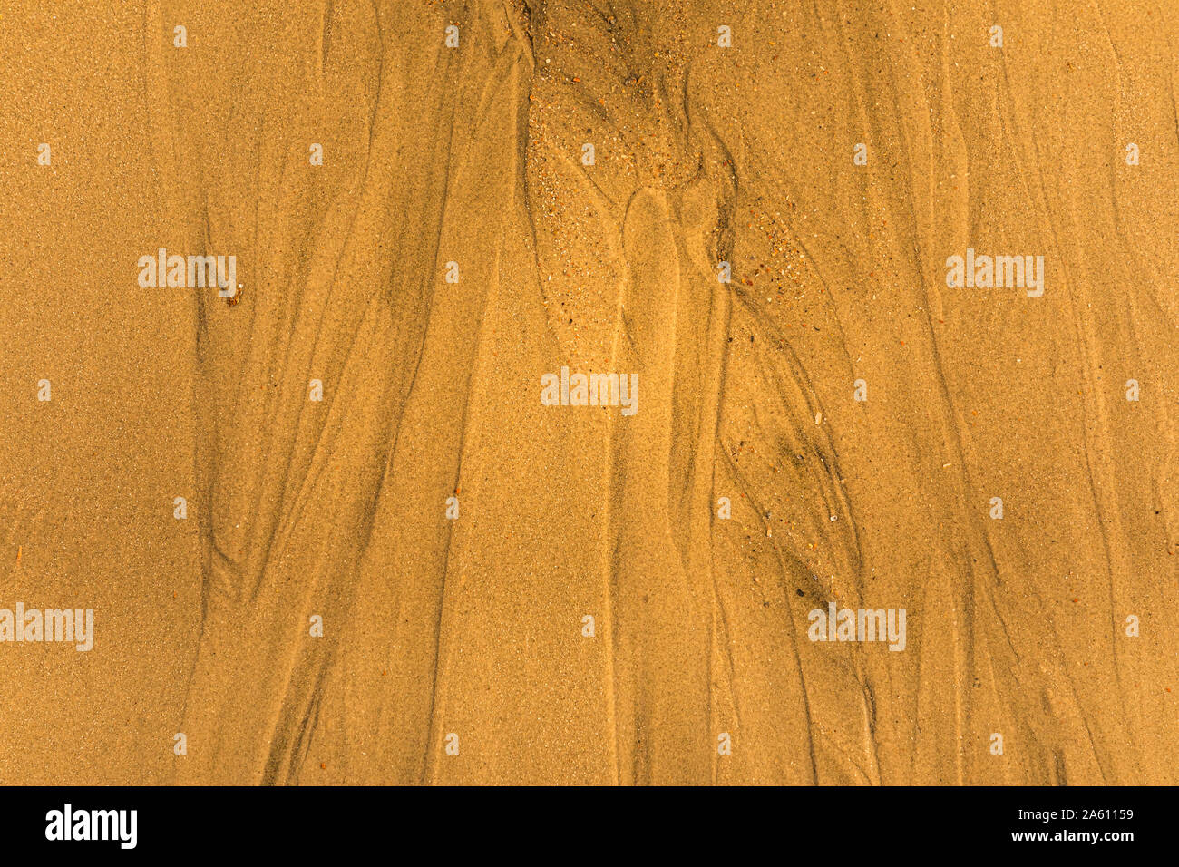 Close-up di sabbia con modi di marea e conchiglie sulla spiaggia Foto Stock