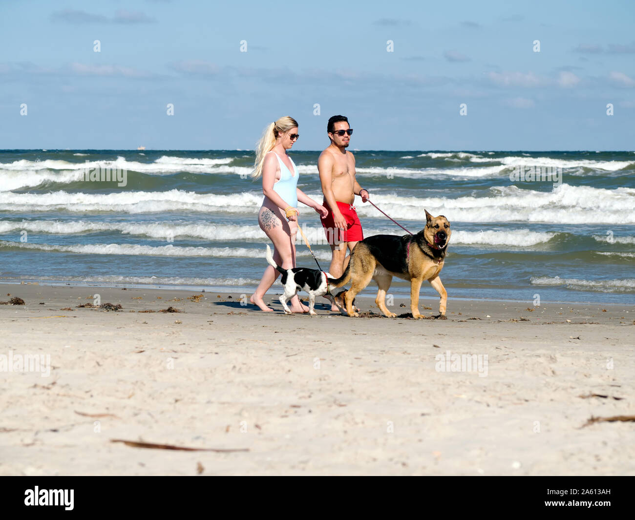 Una coppia in costumi da bagno a piedi i loro cani su un port Aransas, Texas USA spiaggia. Foto Stock
